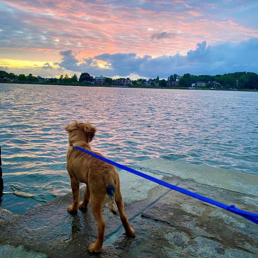 リーケ・ウェイファースのインスタグラム：「These two things I’m so in love with, a beautiful sunset 🌅 him 💙」
