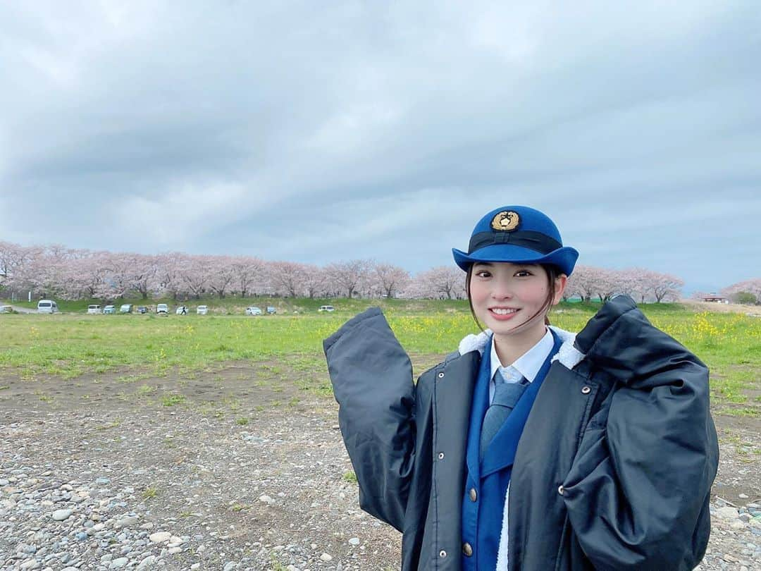 木下彩音さんのインスタグラム写真 - (木下彩音Instagram)「‪昨日は突破ファイルを見て頂きありがとうございました！‬ ‪ 皆さん突破できましたか？‬ ‪ロケの時桜が綺麗に咲いていました🥰 ‬ ‪#突破ファイル‬」6月5日 16時14分 - ayane.kinoshita