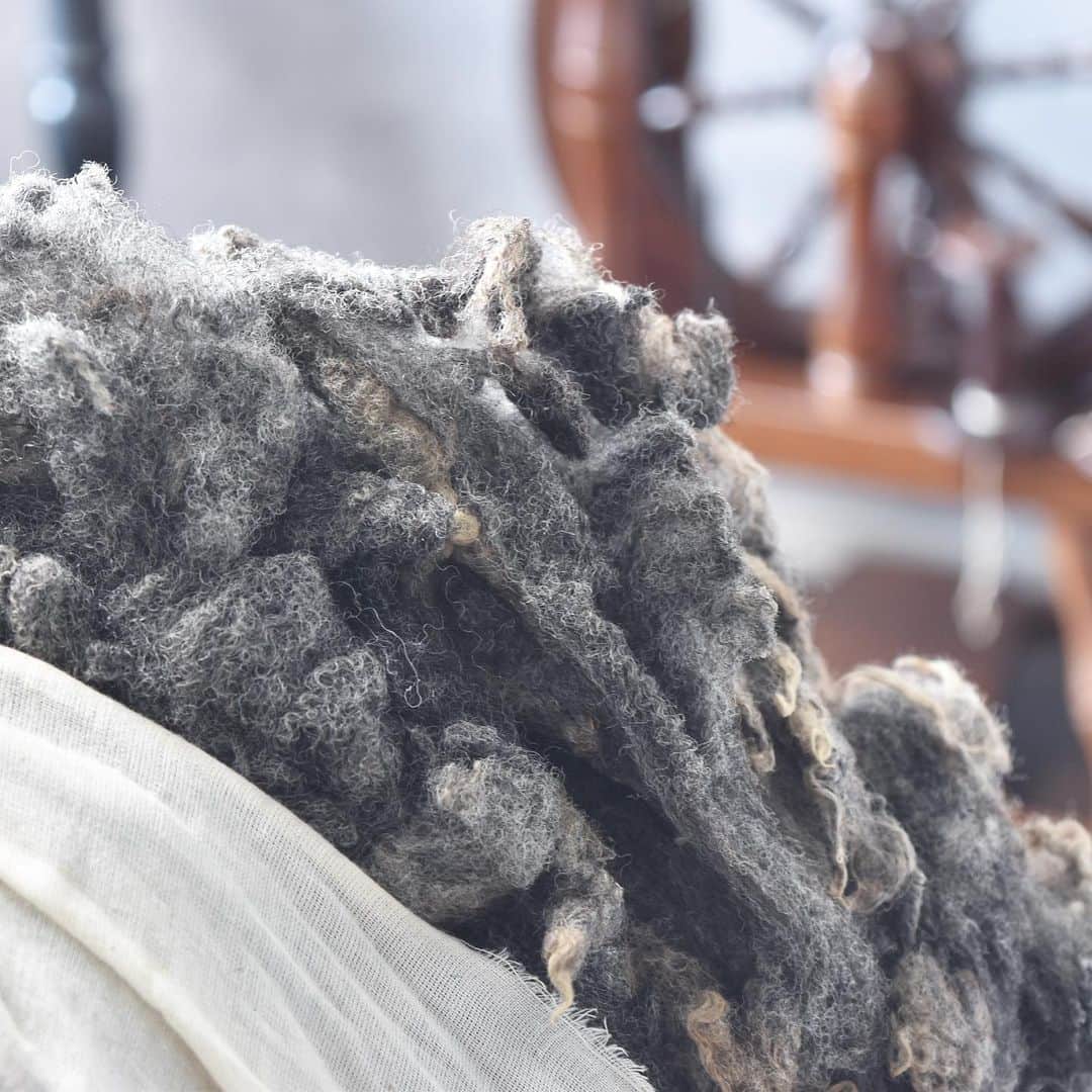 のインスタグラム：「This year’s raw wool from Shetland. I was asking 「I’d like if a good grey colour comes in.」 This is three colours. Black,Dark grey, Light grey . I’m looking forward to spinning 💙 * 遠く遠くShetlandからやってきた今年のひつじさん。1頭買い🐏 「もし、いい感じのグレーがあったらお願いします」とても随分前に頼んでおいた。大好物の(笑)グレー💙 この子は「黒・ダークグレイ・ライトグレイ」の３色が混ざったひつじさんだそうだ。紡ぐとどんな感じになるのかなぁ？とっても楽しみです💙  #shetlandsheep #shetlandlove #shetlandwool #shetlandlace #shetlandlaceknitting #shetlandsheepwool #shetlandspinningwheel #shetlandlaceyarn #spinningyarn #shetlandwoolweek #shetlandyarn #シェットランド #シェットランドレース #シェットランドウール #紡ぎ車 #ashfordspinningwheel」