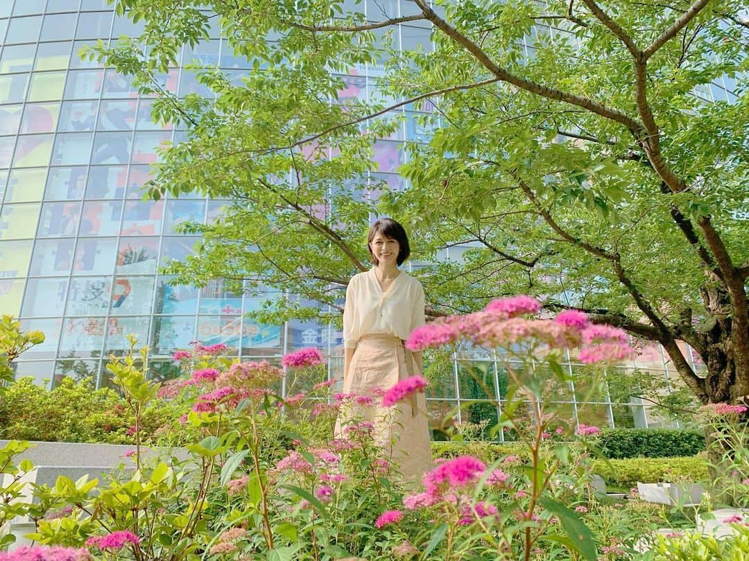 太田景子さんのインスタグラム写真 - (太田景子Instagram)「美しいピンク色💕毛利庭園で急に存在感が出てきた、このお花、なにかなぁ？😲」6月5日 8時38分 - keiko_ota1121