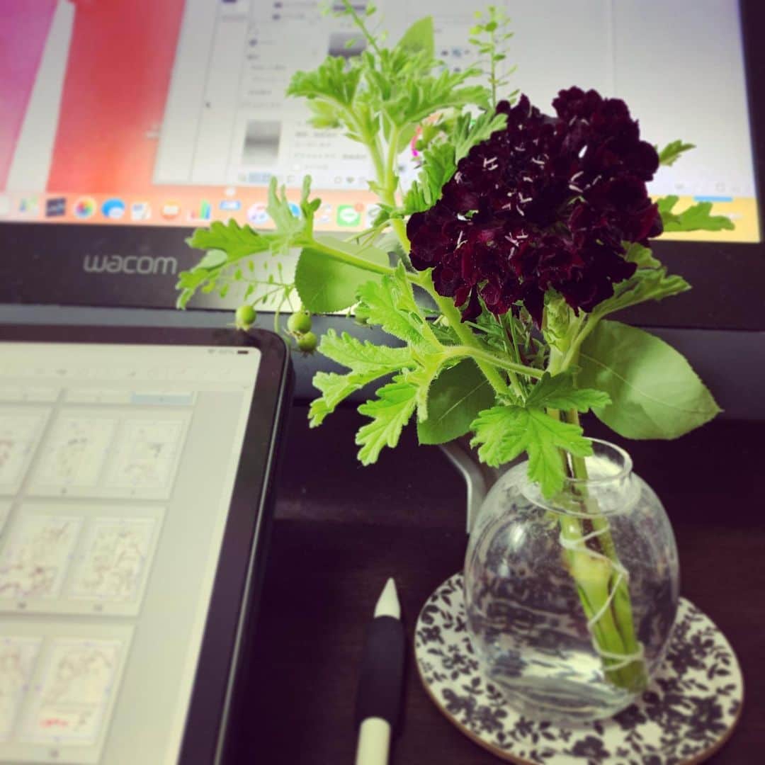 市川ショウのインスタグラム：「息子からもらった花が嬉しすぎたので、仕事デスクに飾って仕事中に眺めて元気を貰ってる✌️ #息子からのプレゼント  #小五男子　#誕生日」