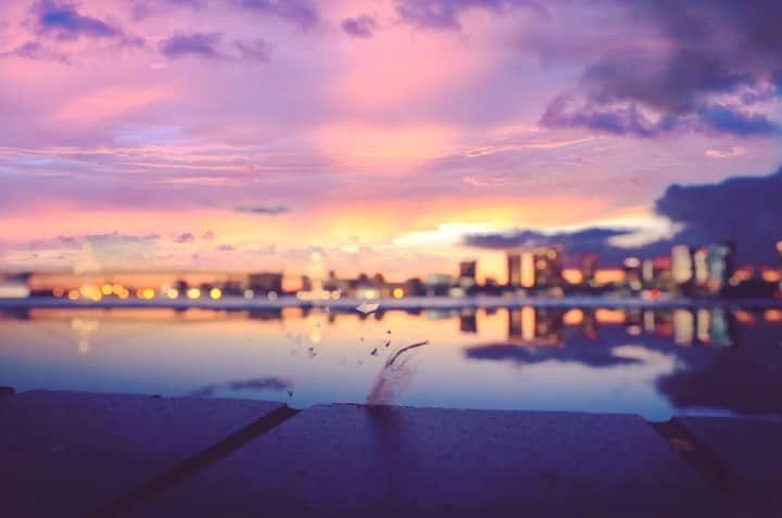 のインスタグラム：「#creative #photo #photography  #photo_jpn  #photographer  #photogram  #photographylovers  #travelphoto  #art  #artwork  #sky #sunset  #sea #wing  #wings  #feather  #canon #canonphotography  #canon_photos  #eos  #eosr」