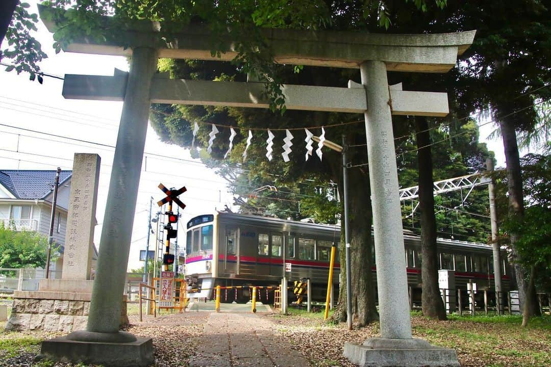 徳永ゆうきさんのインスタグラム写真 - (徳永ゆうきInstagram)「. . 神社の参道を 遠慮なく突っ切る 京王競馬場線。 . -2020.06.04- . #鉄道写真 #撮り鉄 #鉄道好き #京王 #競馬場線 #東府中_府中競馬正門前間 #競_東府中4号踏切 #武蔵国府八幡宮 #7000系 #ワンマン  #各停 #各駅停車 #府中競馬正門前行き」6月5日 9時08分 - tokuchan_1113