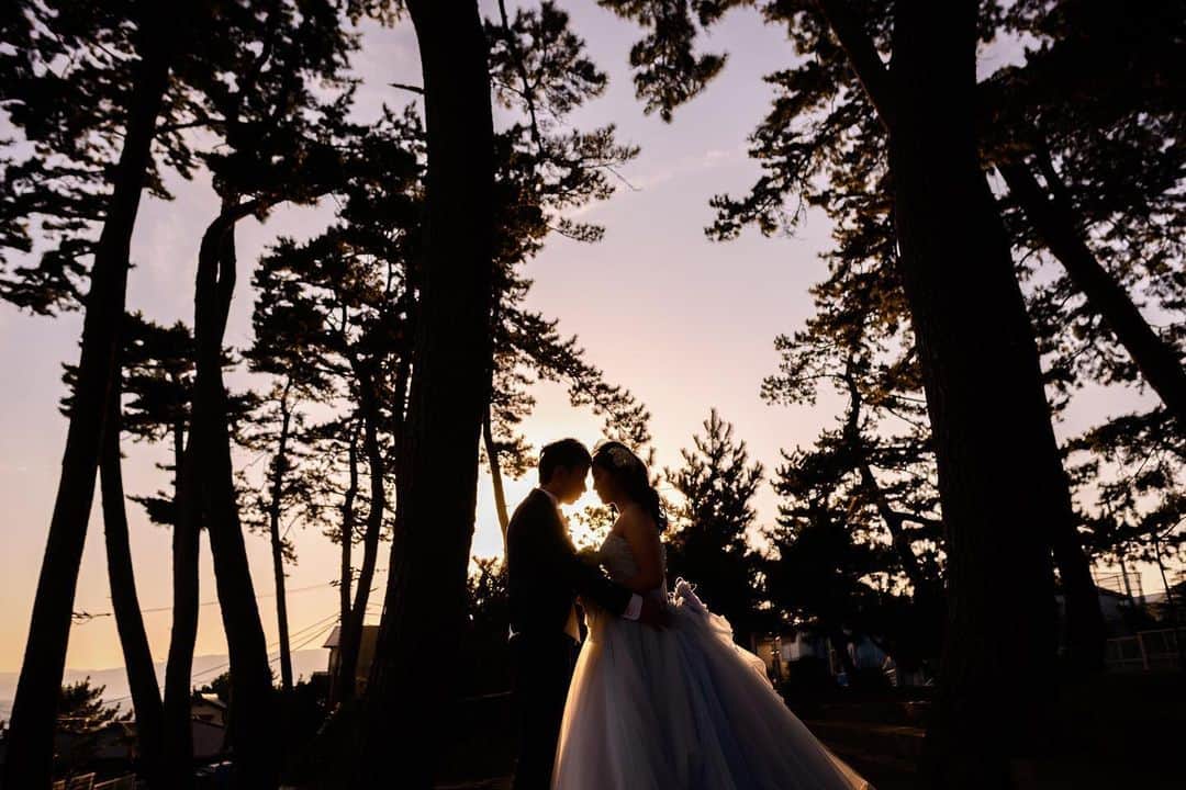 指帆亭のグルメインスタ