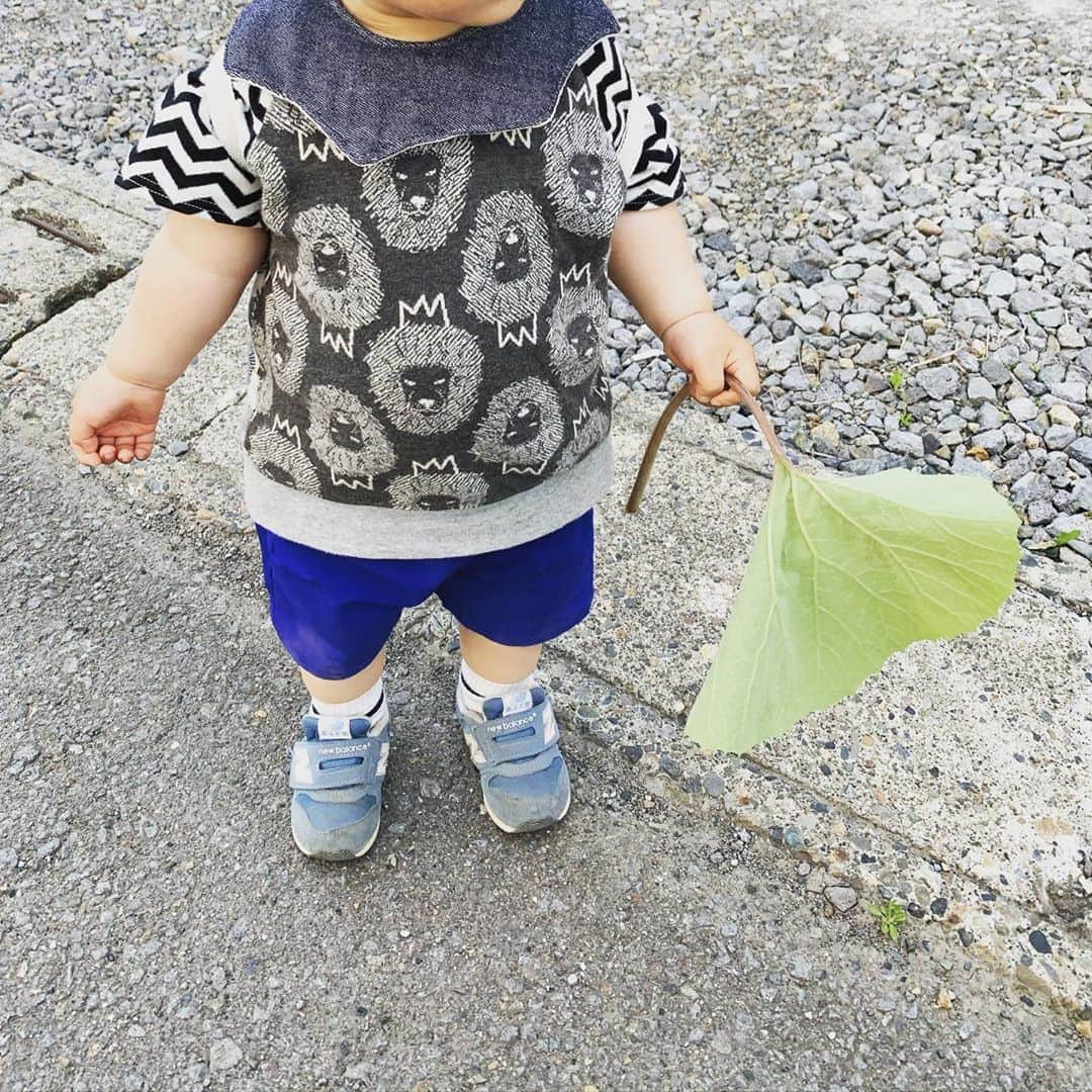 加藤千恵のインスタグラム：「公園で小学生に葉っぱもらった。何度か葉っぱもらったことあるんだけど、流行ってるとかじゃないよね？　そして別の男子小学生からは、砂場で「道徳の授業が嫌い」と相談された。確かにめんどくさいよねー。しかしなぜわたしに相談する。」