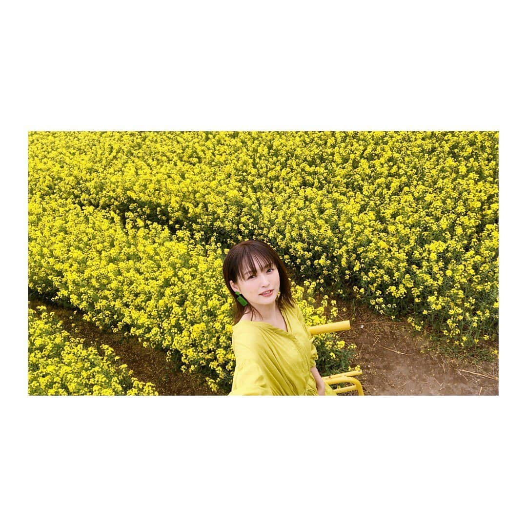 脇田唯さんのインスタグラム写真 - (脇田唯Instagram)「🌼 なんか この日は すごい神がかってた（笑）  菜の花畑の撮影って そこまで詳細知らなくて ワンピースの色も 気まぐれで染めた セルフカラーの髪の毛も 自分で施したメイクも 全部が なんかマッチしてた お天気も  #安平 #安平町  #菜の花 #菜の花畑 #北海道 #脇田唯」6月5日 10時20分 - post_yui