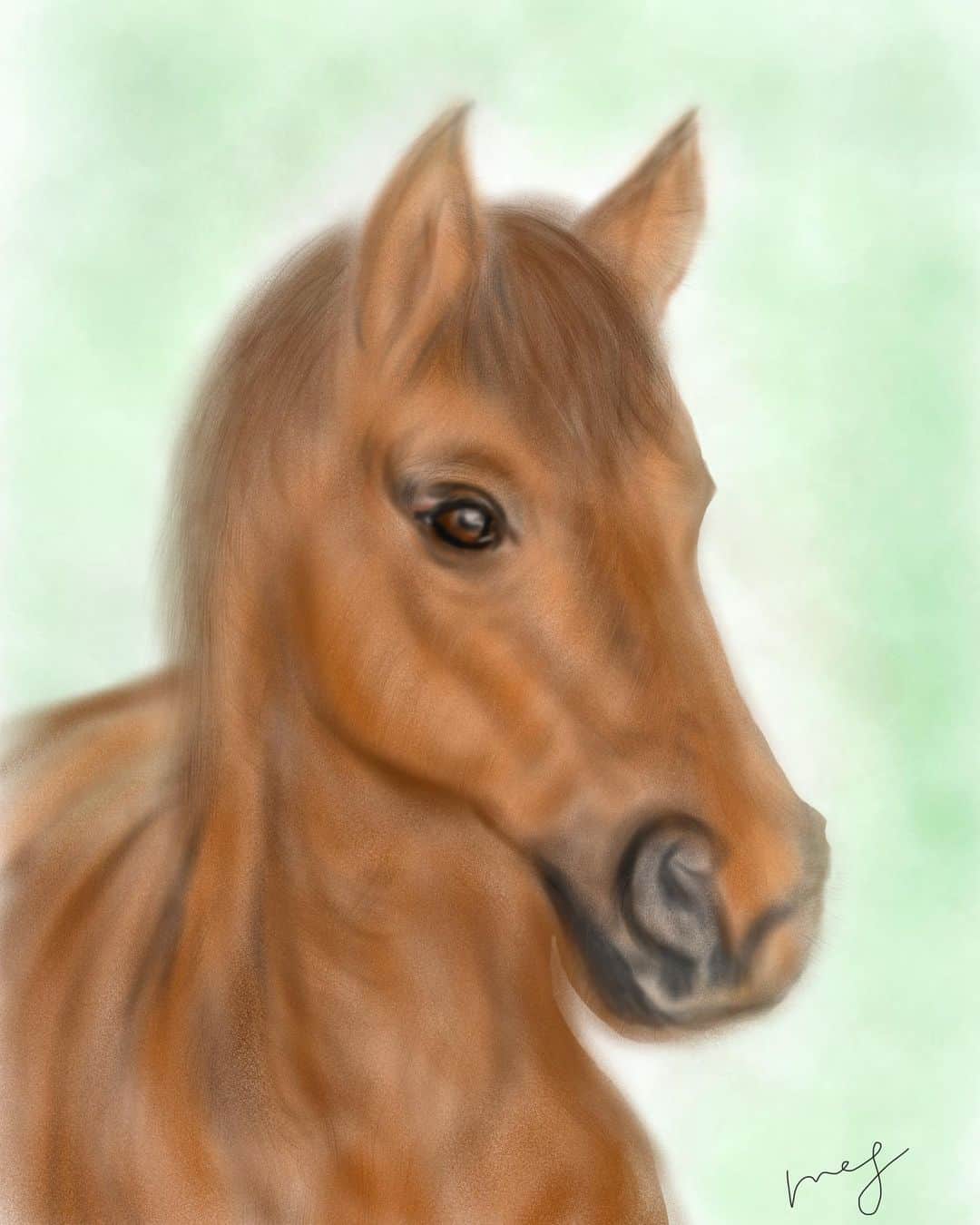 栗原恵さんのインスタグラム写真 - (栗原恵Instagram)「🌰 力強さ🐎 ・ ・ 私はやっぱり 動物の目を描くのが好きです🖋♡ ・ ・ #megart🌰 #art #馬 #horse」6月5日 10時27分 - megumi_kurihara_official