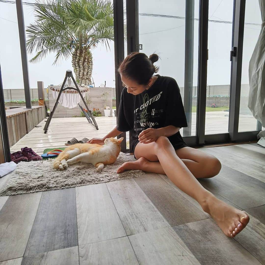 脇田恵子のインスタグラム：「Hello my friend 🐈.」