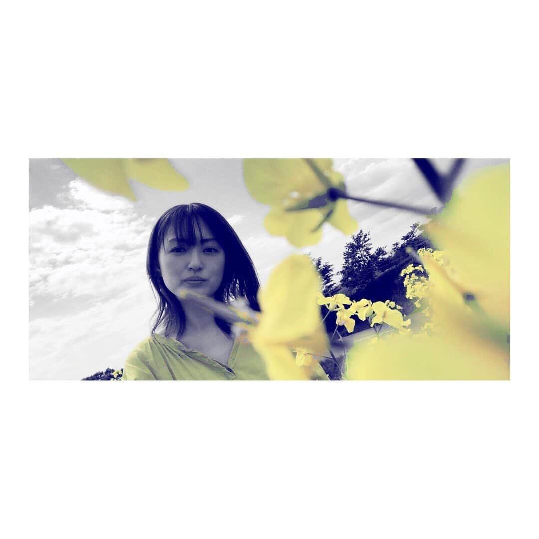 脇田唯さんのインスタグラム写真 - (脇田唯Instagram)「🌻💛🐱🌼🍋 #安平 #安平町 #菜の花 #菜の花畑 #黄色 #yellow #flower #脇田唯」6月5日 10時45分 - post_yui