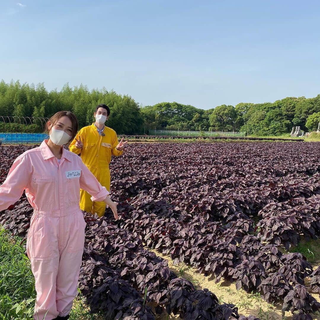 財津南美のインスタグラム