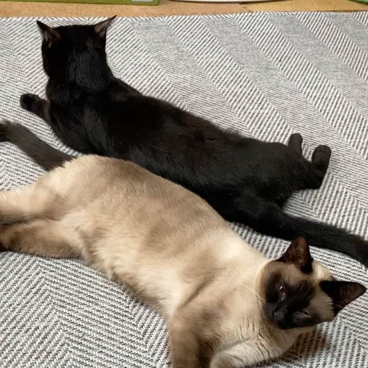 MAKO0MAKO0のインスタグラム