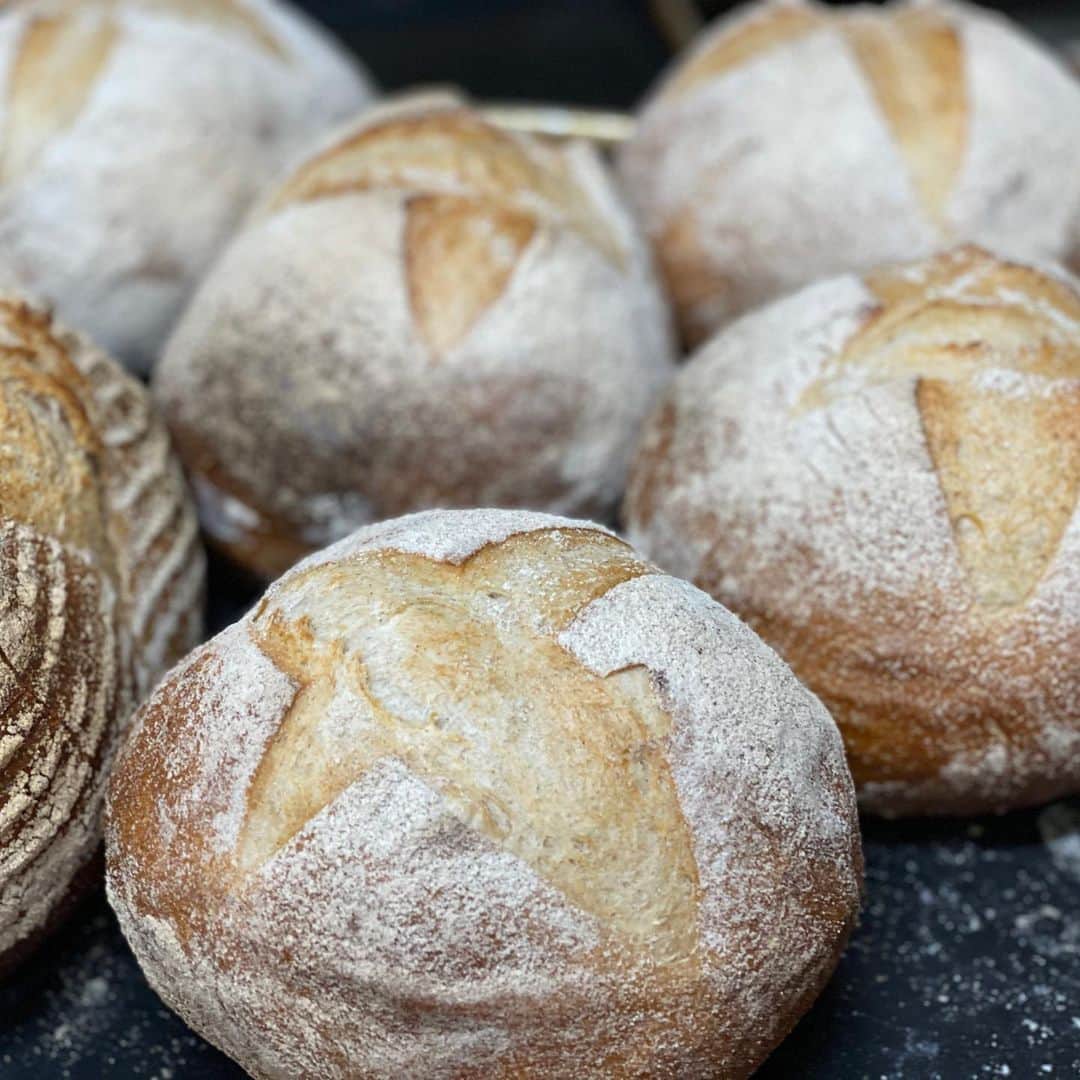 魔女菅原のグルメインスタ