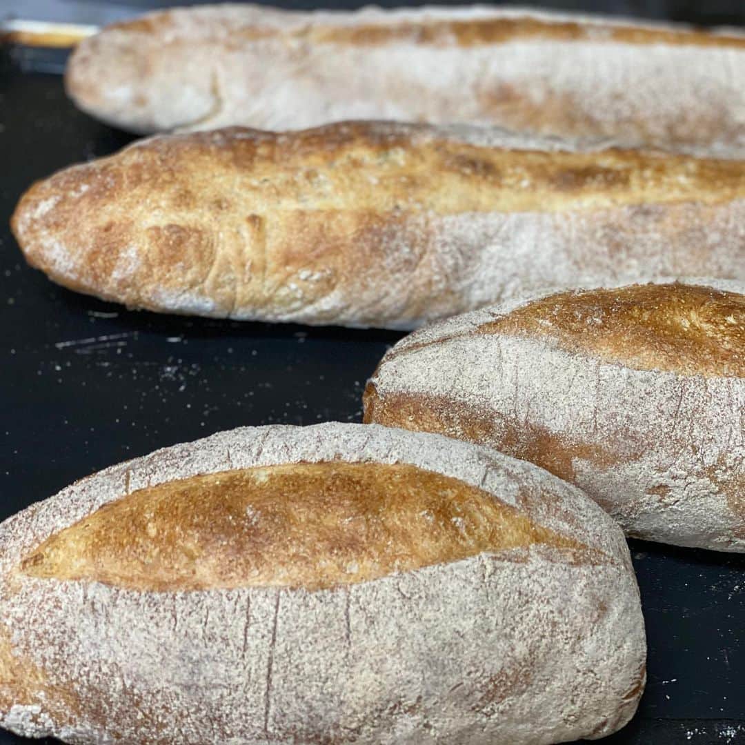 魔女菅原のグルメインスタ