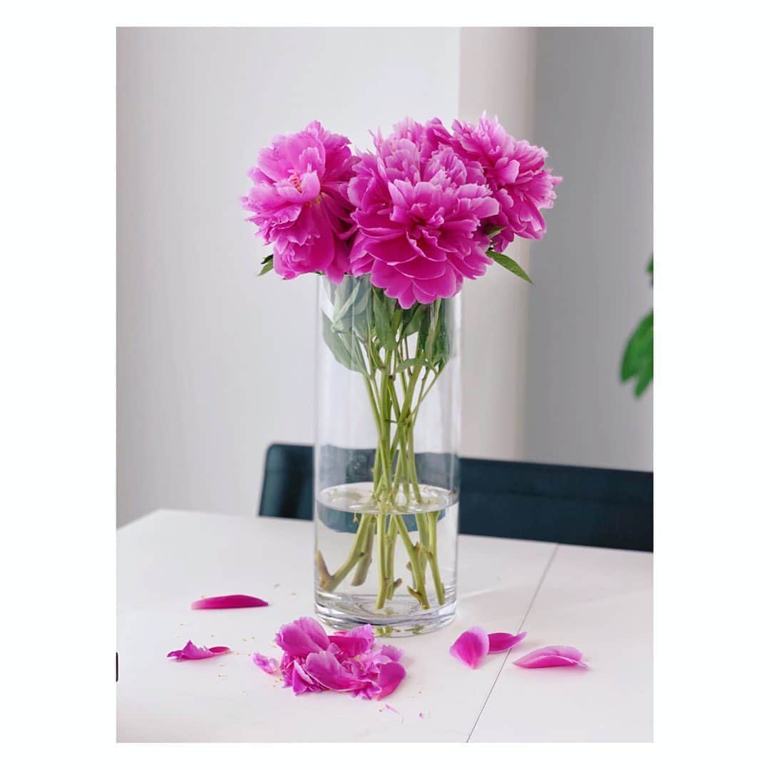 望月理恵さんのインスタグラム写真 - (望月理恵Instagram)「パッと咲きパッと散る潔さよ。  落ちた花びらも美しい。 このままで、、 片付けたほうがいいっか。  花粉も落ちてますしね。」6月5日 11時55分 - mochiee28