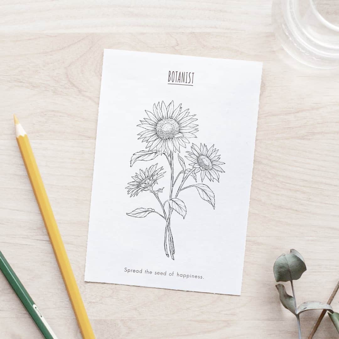 BOTANIST GLOBALのインスタグラム：「【Sunflower project at home🌻】 Today, we have some content that will enrich your #StayHome time  Have a look at our Mini Sunflower Coloring Book for adults and children.  Please download it from our Instagram Stories and have fun with coloring. ⠀ 🌻 BOTANIST Cafe's popular recipes are now available to the public! We've released some of our favorite recipes for the #homecafe, including the cute sunflower-inspired "Smoothie Bombon Pineapple x Kiwi" recipe.  We hope you'll enjoy our "sunflower" content and that it may brighten up your room, balcony or kitchen ✨  Sunflower means “smile” in the flower language ☺️ May your smiles bloom broadly.  Stay Simple. Live Simple. ⠀ #BOTANIST ⠀ ⠀ 🛀@botanist_official 🗼@botanist_tokyo 🇨🇳@botanist_chinese」