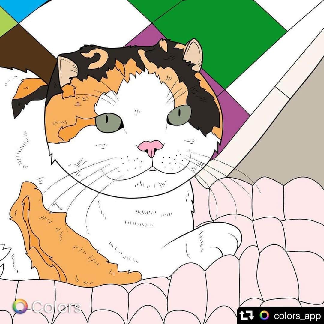 sancheloveさんのインスタグラム写真 - (sancheloveInstagram)「@colors_app さんにうららの塗り絵を作っていただきました😸かわいい❤️ #ありがとうございます  無料ぬりえアプリ「カラーズ」で楽しんでいただけます☺️❤️✨ App Store： https://apple.co/3ailgtG Google Play： https://bit.ly/3agPQUv  #repost @colors_app ・・・ You can now color @sanchelove, the 3-colored adorable kitty 🐱  Enjoy and unwind today 🎨  #colorsapp #coloringactivity #munchkin #マンチカン #munchkincatsofinstagram #munchkinlovers #munchkinkitten #threecoloredcat #cutekitties #kittensofinstagram」6月5日 12時28分 - sanchelove