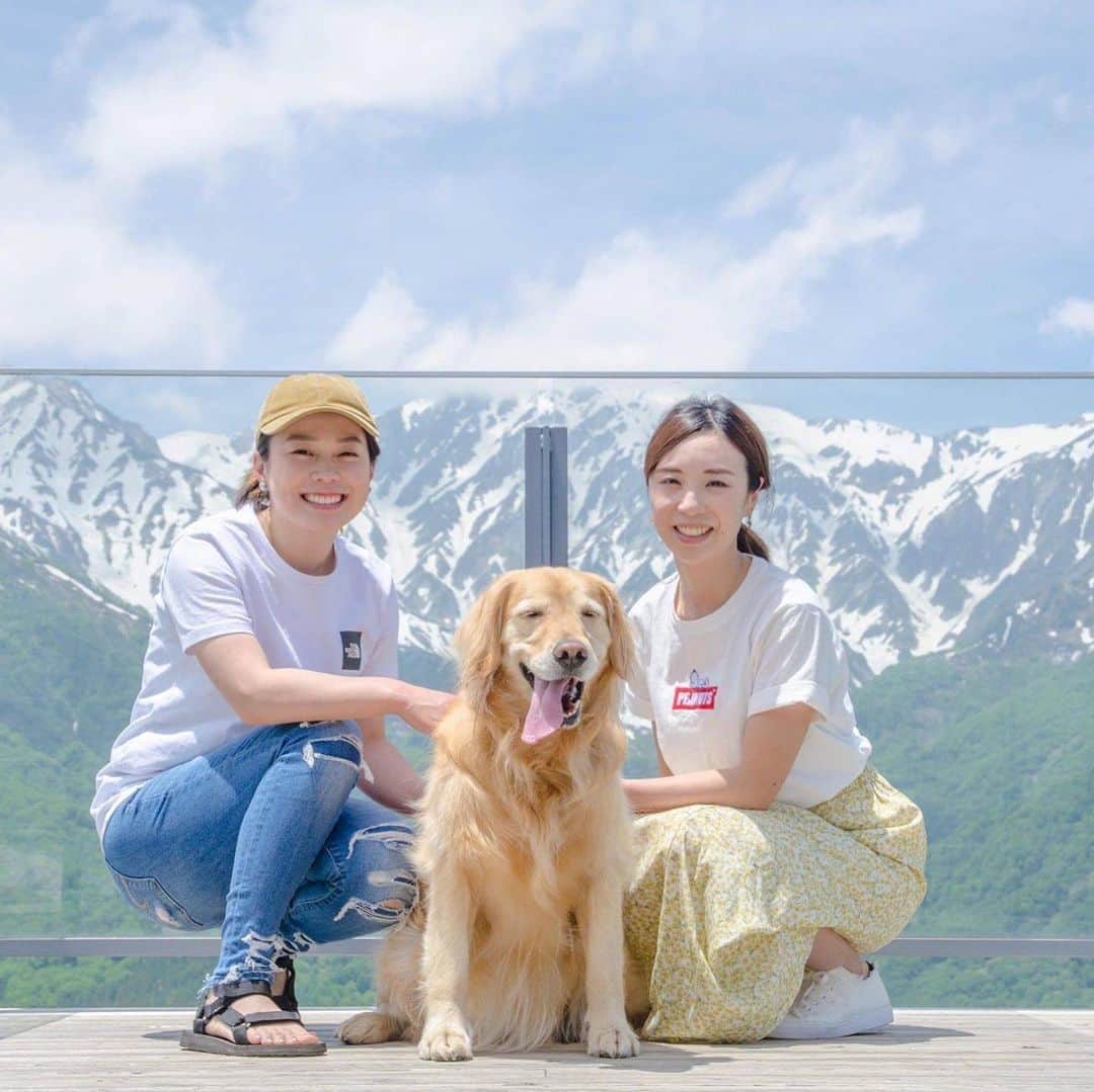 白馬岩岳スノーフィールドさんのインスタグラム写真 - (白馬岩岳スノーフィールドInstagram)「今日も爽快な＃景色＃空気＃絶景が揃っています。白馬岩岳山頂には、犬とそんな時間を過ごせる空間が広がっております。今週末も天気予報は「晴れ」みんなで出かけましょう！！ #犬のいる暮らし #いぬ部#犬バカ部 #わんこのいる暮らし #いぬバカ部 #わんこ部 #いぬすた #今日のわんこ #いぬばか部 #ミックス犬同好会 #わんこ #わんこ宿 ＃グラスハウス」6月5日 13時00分 - hakuba_iwatake