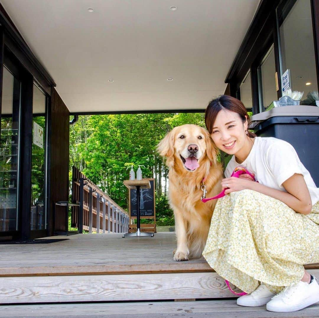 白馬岩岳スノーフィールドさんのインスタグラム写真 - (白馬岩岳スノーフィールドInstagram)「今日も爽快な＃景色＃空気＃絶景が揃っています。白馬岩岳山頂には、犬とそんな時間を過ごせる空間が広がっております。今週末も天気予報は「晴れ」みんなで出かけましょう！！ #犬のいる暮らし #いぬ部#犬バカ部 #わんこのいる暮らし #いぬバカ部 #わんこ部 #いぬすた #今日のわんこ #いぬばか部 #ミックス犬同好会 #わんこ #わんこ宿 ＃グラスハウス」6月5日 13時00分 - hakuba_iwatake