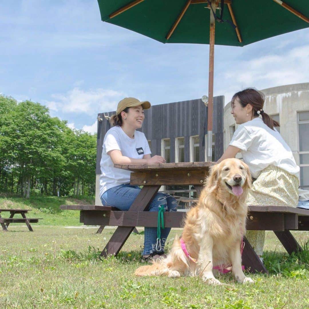 白馬岩岳スノーフィールドさんのインスタグラム写真 - (白馬岩岳スノーフィールドInstagram)「今日も爽快な＃景色＃空気＃絶景が揃っています。白馬岩岳山頂には、犬とそんな時間を過ごせる空間が広がっております。今週末も天気予報は「晴れ」みんなで出かけましょう！！ #犬のいる暮らし #いぬ部#犬バカ部 #わんこのいる暮らし #いぬバカ部 #わんこ部 #いぬすた #今日のわんこ #いぬばか部 #ミックス犬同好会 #わんこ #わんこ宿 ＃グラスハウス」6月5日 13時00分 - hakuba_iwatake
