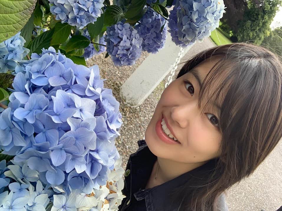 竹内愛紗のインスタグラム：「.🌸…。 . 1年前の私と現在のまるちゃん😸 もう6月だァ~☔️ なのに今日は暑い…！☀️ 皆さん、水分補給忘れずに😋 . . #6月#June#まるちゃん#sweetpoweranimal#紫陽花#アジサイ#あじさい#☔️#☀️」