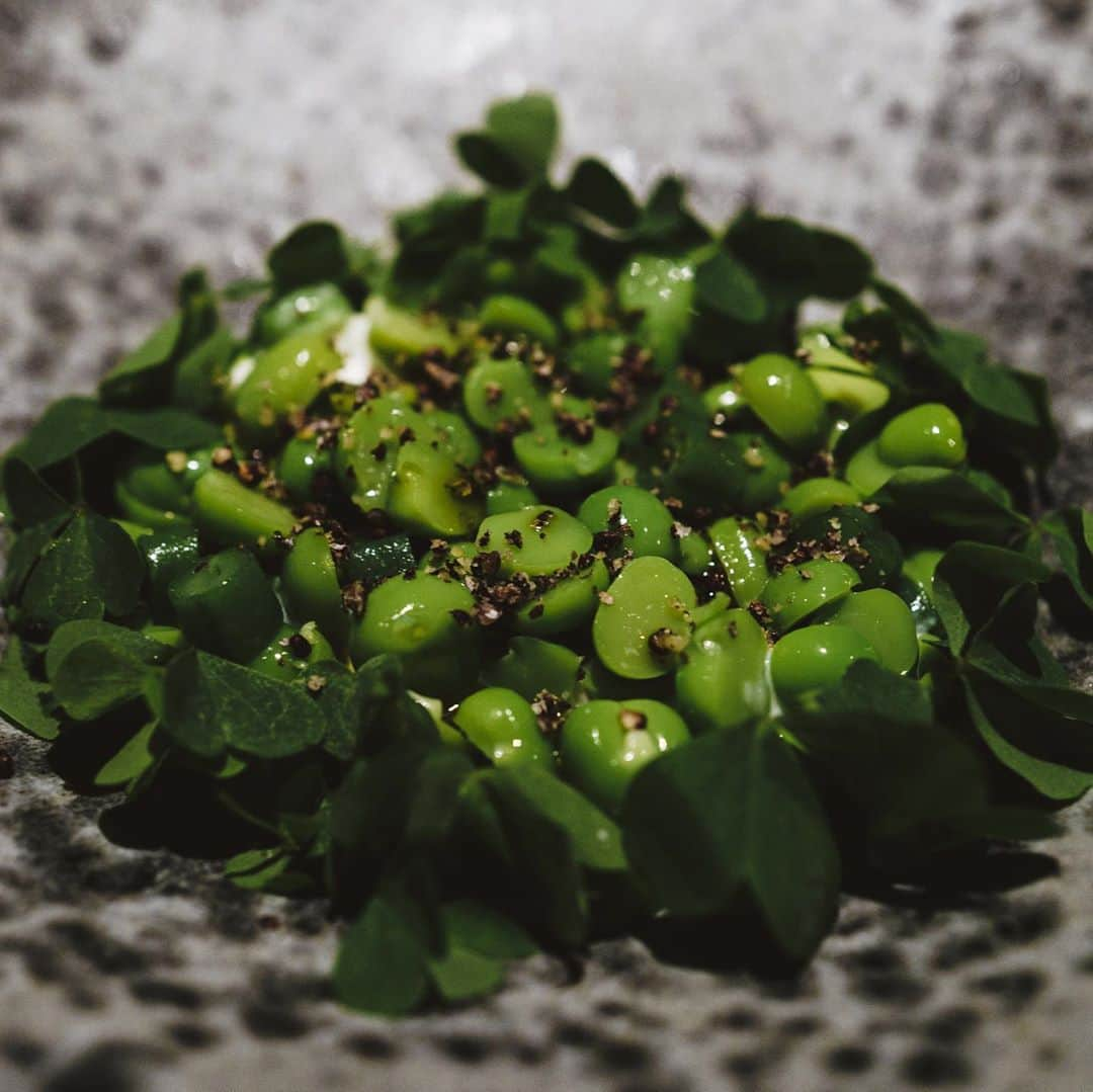 市川渚さんのインスタグラム写真 - (市川渚Instagram)「Caveman tokyo🍽﻿ ﻿ ﻿ 昨日は夫の誕生日。我々、誕生日は相手を食事に招待しあうのが毎年の恒例で、わたしは毎年1か月以上前からお店のアレンジを始めるのですが、今年はいつ飲食店の営業が再開するのか見通しが立たなかったので、仕方ないけど家ディナーかなあ……なんて半ば諦めモードになっていたところ、オープンしてからずっと気になっていたcavemanさんが営業を6/4から再開されるということを知り、即予約して、行ってきました。﻿ ﻿ ひさびさの外ごはん、プロの味、お料理にペアリングされてサーブされるドリンク、そして、たわいのない会話。失われていた何かをひとつひとつ掴んでいくような不思議な感覚。 ﻿ お料理は戻りがつおのタコス（一皿目からやられてしまった。絶品。）でメキシカンから始まって、北欧、タイ、日本、アメリカンとさまざまな国の料理をひとつのコースで辿れるcavemanさんのコンセプトも外食リハビリ（謎）1発目にぴったりでありました。残念ながら海外にはしばらく行けなさそうな状況なので、味わいを通して色んな国に想いを馳せる、そんな体験も良いなあなんて🍽﻿ ﻿ 営業再開初日、尚且つ1番遅い時間の予約だったこともあって、ソーシャルディスタンスばっちり、開放感溢れる空間はほぼ貸し切りで、贅沢すぎた。まだそこまで予約も多くないらしく（オープン直後の2,3月はほぼ毎日満席御礼だったそうです）、気になってた人は今がチャンスかも。﻿ ﻿ 日本橋周辺はいいお店がたくさん出来ていて、いろいろ開拓したいなあ。cavemanが入っているK5 Hotelにも泊まりに来たい。はあああ……久々の外食、楽しかった。﻿ ﻿ 夫よ今年もよろしくお願いします。」6月5日 13時54分 - nagiko