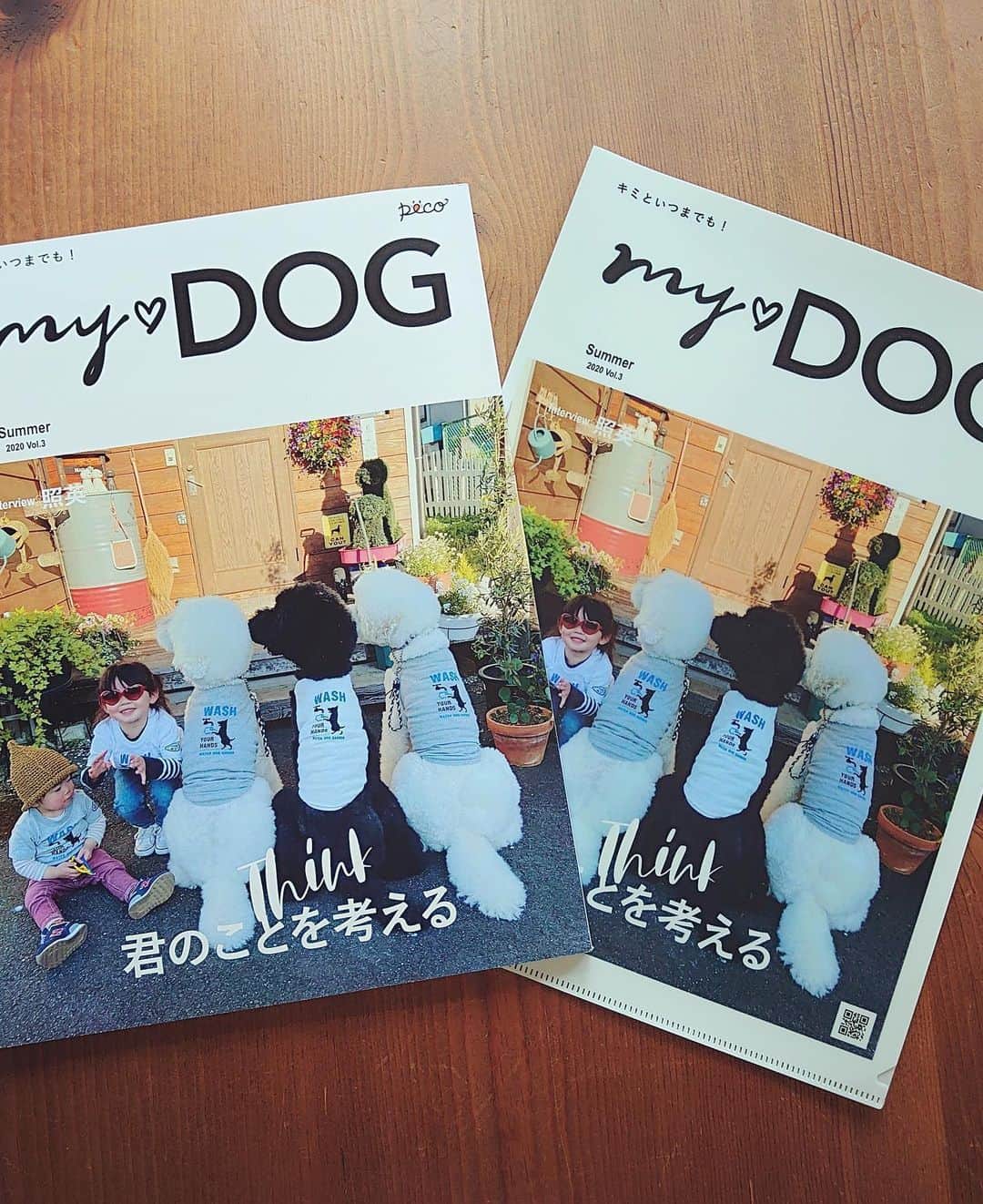 たまねぎさんのインスタグラム写真 - (たまねぎInstagram)「. . peco my♡DOG 夏号 世界にひとつだけのうちのコ表紙(*´꒳`*) 親バカ犬バカの極みですね！💕 . みなさんも親バカ犬バカしまくって、うちの子表紙作っちゃいませんか？ 誰でも簡単に作れます♪ 「マイドッグ　雑誌」で検索するとサイトが見つかりますよー . . #standardpoodle #dog #lovedogs #poodlesofinstagram #スタンダードプードル #大型犬と子供 #poodle #dogstagram #いぬのいる生活 #もふもふ部 #わんこ部 #子どもと犬 #kidsanddog #犬と暮らす #いぬなしでは生きていけません #pr #peco #mydog #pecomydog世界にひとつだけのうちのコ表紙 #親バカ #犬バカ #犬バカの極み」6月5日 13時59分 - tamanegi.qoo.riku