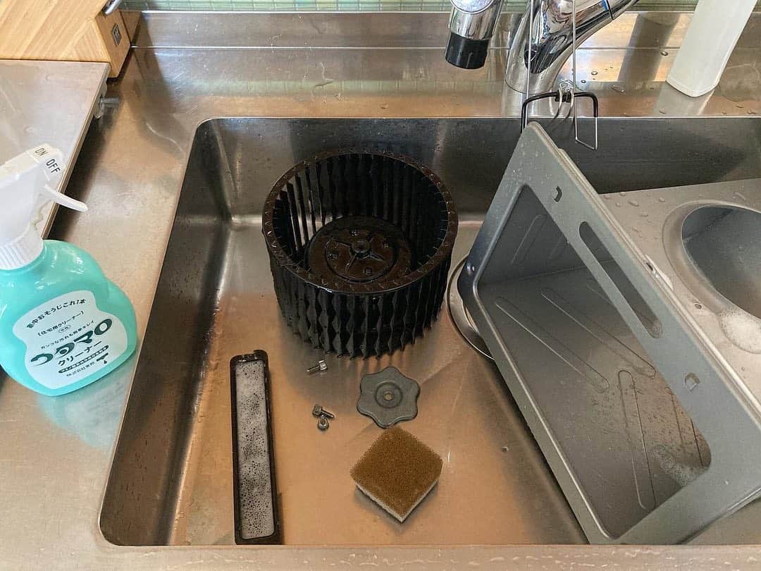 aco.さんのインスタグラム写真 - (aco.Instagram)「2020.6.5  少し前の#めんどくさいチャレンジ この日は#換気扇掃除  年末大掃除ができていなかったので まぁまぁ汚れてました。  つけ置きしたい所でしたが 娘がぐずり出すとどうにもならないので #ウタマロクリーナー で。 . コンロ周りのキッチンツール立てや キッチン上の飾り棚、 ダイニング上の照明も拭きました。  とてもとてもとてーーーもめんどくさかったけど笑 休校中の息子がよくお手伝いしてくれ、 この日はトイレのタイル磨きをしてくれていたので 頑張れました🙌 （息子はささっと終わってましたが😂）. . . . @kagi.__ ちゃんが #換気扇フィルター を使っているのを見て 私も貼ってみました。  我が家のシロッコファンはとても外しにくいので これで掃除が少しでも楽になればいいな😭  換気扇フィルターや 高い所の掃除に欠かせない脚立 （軽くて安定感抜群、10年使ってもどこも壊れない頼れるやつ） @aco.chaaaaan の楽天roomに載せてます☺️ . . . . . 来週から息子は通常授業が始まります。 息子とゆっくり過ごした嘘みたいな3ヶ月間。  コロナは辛かったけど、 娘と息子の戯れる姿を 2人が大人になっても思い出すんだろうなぁ😌 . . .」6月5日 14時28分 - aco.chaaaaan