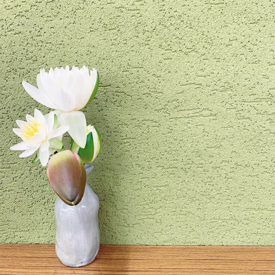 丹波焼の郷（公式）のグルメインスタ