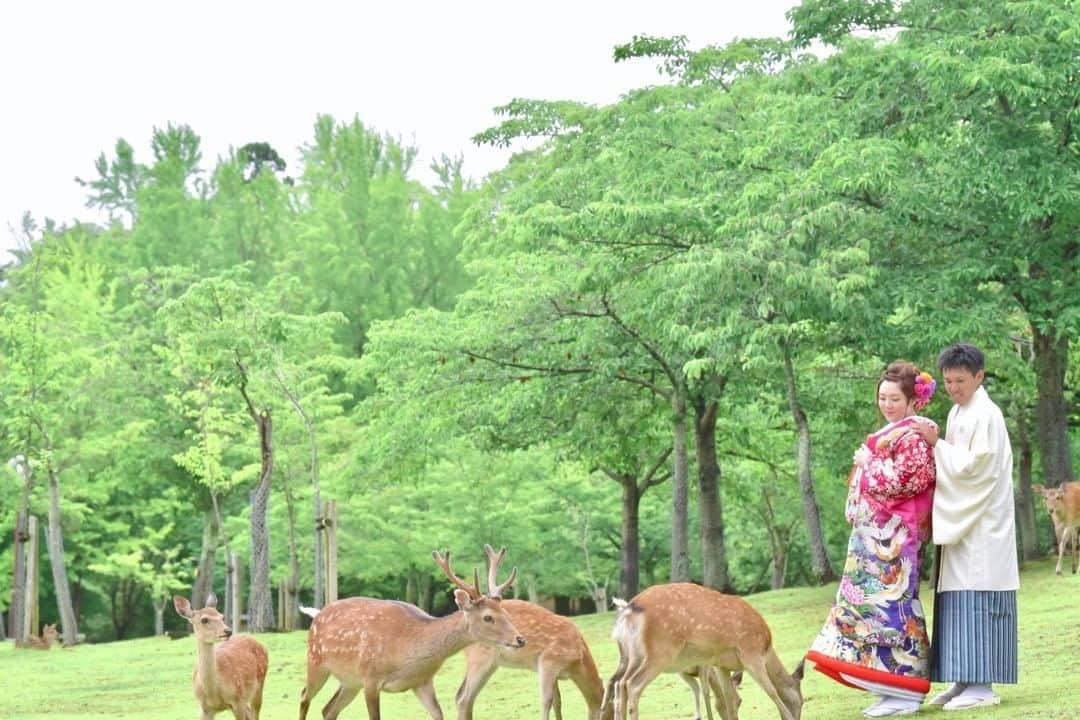 髪型ヘアスタイル・ウエディング、七五三、お宮参りのキキフォトさんのインスタグラム写真 - (髪型ヘアスタイル・ウエディング、七五三、お宮参りのキキフォトInstagram)「🇯🇵 ・ 奈良公園の前撮り Taken by Nikon D750 ・ #コロナが終息したら ぜひ奈良に来てください。 それまでは・・・ #おうちで奈良旅 で奈良の風景を楽しんでください。 ・ Pre wedding photo with in Nara Park. When COVID-19 crisis is over, please come to Nara. Until then, please enjoy the Nara at home. ・ #前撮りアイテム  #2021春婚 #2020夏婚 #2020秋婚 #2020冬婚 #2020プレ花嫁 #2020花嫁 #2020結婚 #2020結婚式」6月5日 14時38分 - kikiphotoworks