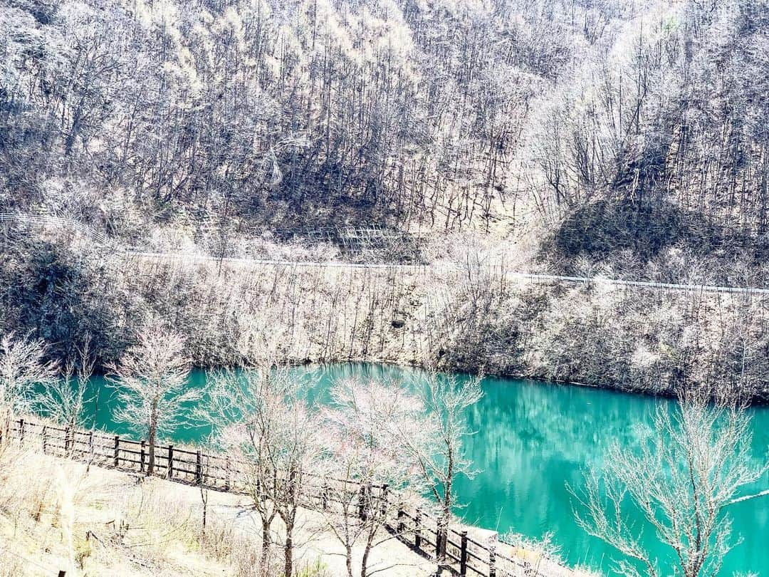 田中幸さんのインスタグラム写真 - (田中幸Instagram)「近場の良いとこ たくさん見つけた  そろそろSUPが 気持ち良い季節🏖  #ロケハン #SUP #近所散歩 @k2.snowboarding  @souyustick」6月5日 14時32分 - sachitanaka