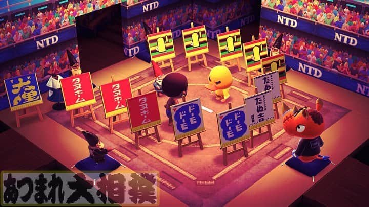 日本相撲協会さんのインスタグラム写真 - (日本相撲協会Instagram)「#あつまれ大相撲 英語ページ開設！﻿ Animal Crossing: New Horizons SUMO collaboration web page is now released!﻿ ﻿ Visit http://sumo.or.jp/EnKyokai/information?id=366 for more items and informations!﻿ ﻿  #sumo #相撲 #どうぶつの森 #あつまれどうぶつの森 #あつ森 #ACNH #ACNH_SUMO #AnimalCrossing #nintendoswitch #あつまれ大相撲」6月5日 15時41分 - sumokyokai