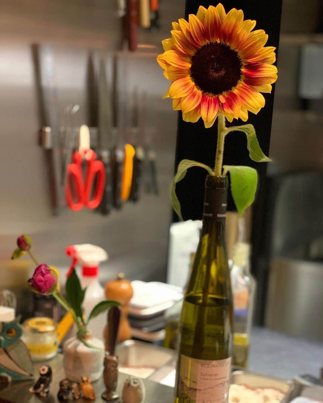 黒沢祐子さんのインスタグラム写真 - (黒沢祐子Instagram)「・ ・ やっぱりレストランていい🍽  take outでお世話になっていたセルサルサーレ @masahirohamaguchi  本営業になったら行きたいと思っていて 早々に願いが叶った  とにかく シェフやスタッフさんの動き、楽しみながら営業していいて、料理愛とお客様愛を感じる美味しくて幸せなdinnerを大好きなふたりと  わたしもいろんな意味で、まだまだ頑張らなくちゃ と思わせてくれたそんな時間に感謝🙏🏻 ・ ・ #life #restaurant #セルサルサーレ #ありがとうございました #幸せ過ぎて寝落ちした😂 #ヤバイ身体痛い #見上げた月が美しかった　#今日は満月かな🌕 #リアルフラワーロック　#🌻」6月6日 1時41分 - yukowedding