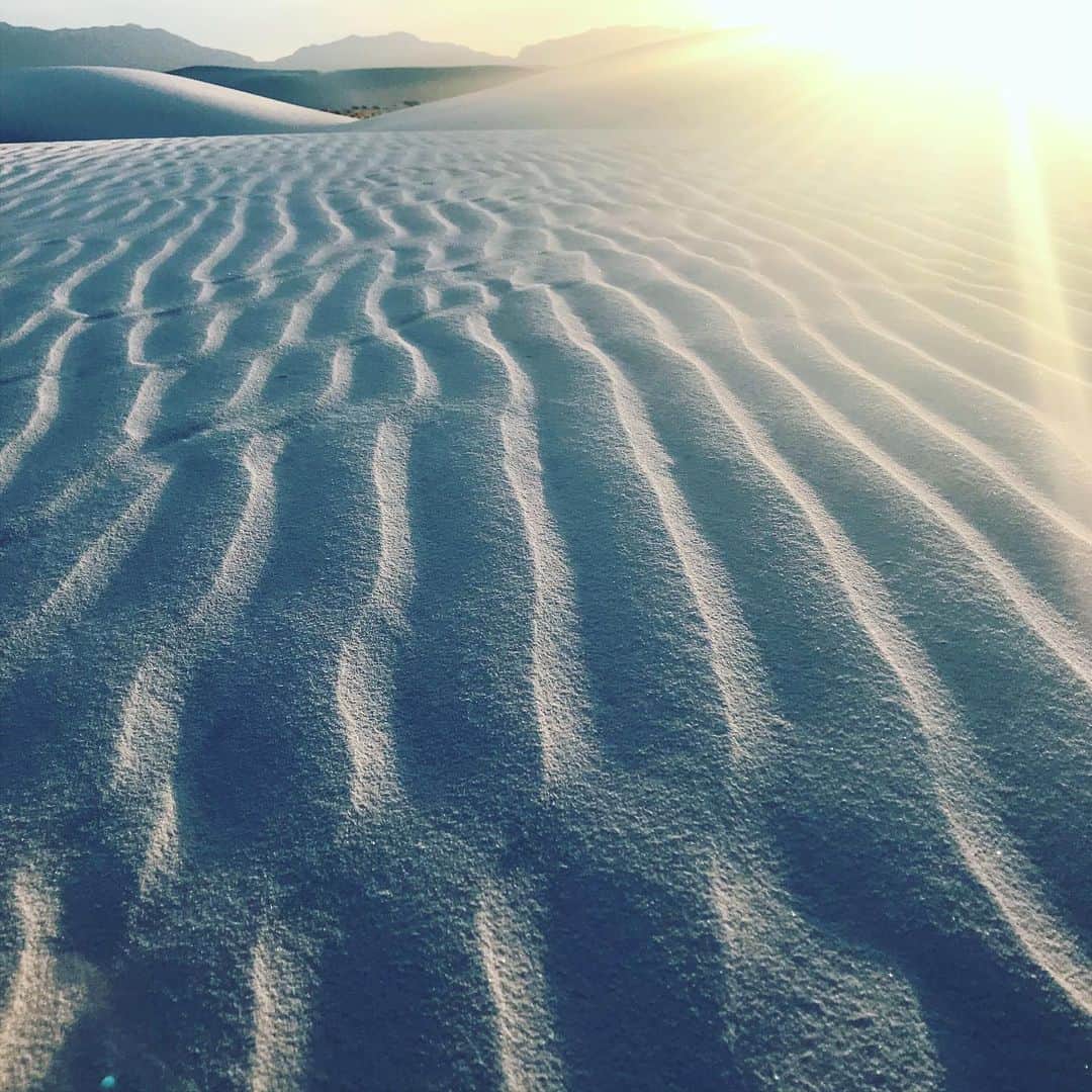 カリフォルニアスタイルさんのインスタグラム写真 - (カリフォルニアスタイルInstagram)「Californiaからのロードトリップシリーズ。LAから東にノンストップで走ること13時間。アリゾナ州を超え、ニューメキシコ州にあるホワイトサンド州立公園はめちゃくちゃヤバい‼️ ミネラル成分を含んだ真っ白な砂の砂漠が、何十平方Kmと延々に拡がるエリア。気になる人はGoogle Earthで検索してみて。かなり広範囲のマップで見ても、真っ白な砂漠が宇宙からでも確認出来る。こんな場所にクルマでTrip出来ちゃうのも、カリフォルニアの魅力だよね。 #californiastyle #california #dune #newmexico #roadtrip #whitesand #whitesandsnationalmonument #statepark #nasa #ufo #arizona #losangeles #goodvibes #trip #driveplanning #family #カリフォルニア #カリフォルニアスタイル #カリフォルニア工務店 #デザイン #国立公園 #砂漠 #ビーチ #ライフスタイル #ライフスタイル不動産 #ニューメキシコ #アリゾナ #sedona #powerspot #パワースポット」6月5日 18時12分 - cal__style