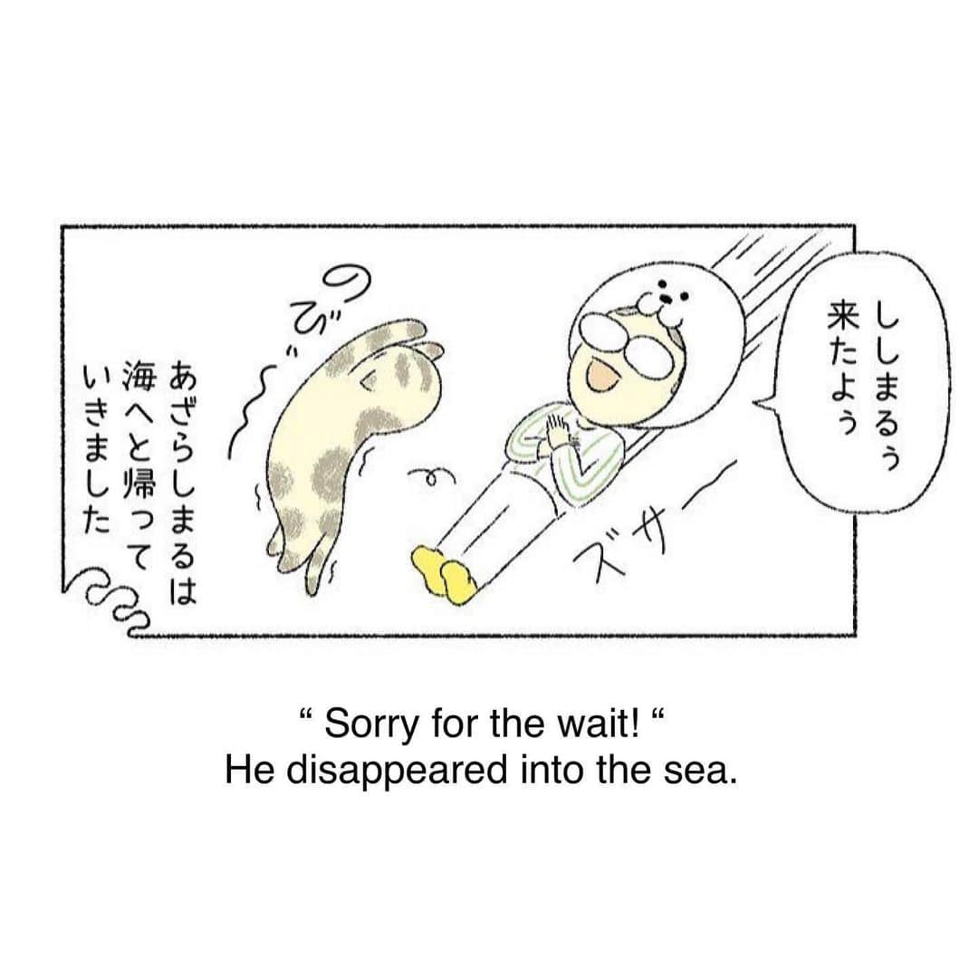Shishi-maruさんのインスタグラム写真 - (Shishi-maruInstagram)「🐱ねこのきもちWEBMAGAZINE にて、猫エッセイが更新されました。今回は来客時のへそ天ししまるのお話です。アプリ版もありますので是非。 お楽しみください。 【渋ネコししまるさん】#50 ｜ねこのきもちWEB MAGAZINE  https://cat.benesse.ne.jp/lovecat/content/?id=70073 🐱My essay about Shishi-maru is serialized in a weekly magazine:) ーーーーーーーーーーーーー 🌺「渋ネコ ししまるさん」ねこのきもちWEB MAGAZINE にて毎週金曜日エッセイの連載中 ーーーーーーーーーーー 📕「ぷっちねこ。」「3匹のちいさな猫を召喚できたなら」「ちいさな猫を召喚できたなら」徳間書店より単行本発売中 ーーーーーーーーーーー ⭐︎ねこ漫画→@tacos_cat 🌺Twitter →@taco_emonemon ーーーーーーーーーーー」6月5日 18時20分 - emonemon