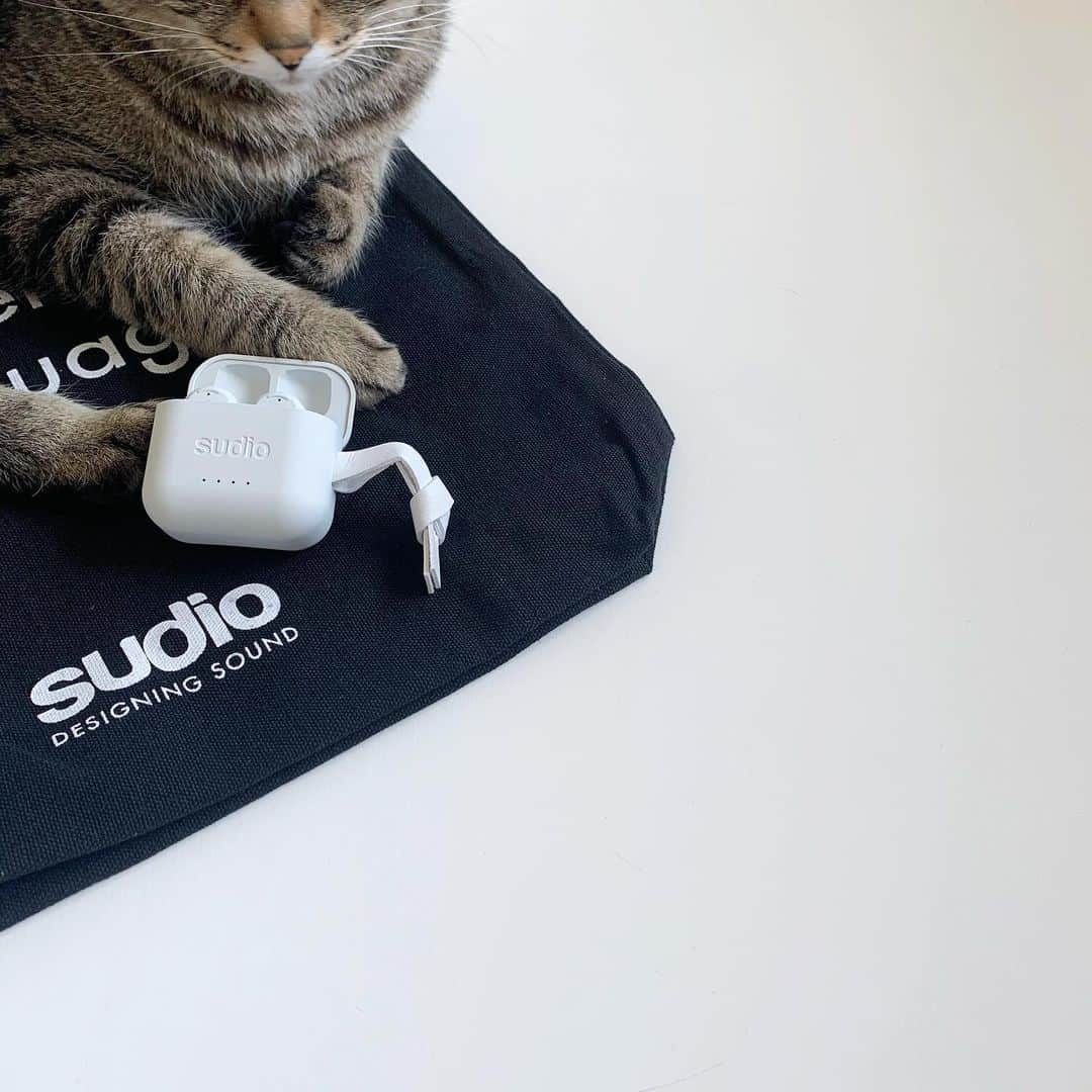 eve_mi_nさんのインスタグラム写真 - (eve_mi_nInstagram)「+ Sudio ETT White + Sudio初のアクティブノイズキャンセリング（ANC） 機能搭載で通勤の間も快適✨ 置くだけで充電できるワイヤレス充電 や防水なのも嬉しいですね☺︎ + 先着でトートバッグもプレゼント中🎁 + https://www.sudio.com/jp/ ↑ 公式サイトで15%offになるクーポンコード 【evemin15】8/31まで。 + Thank you @sudio ❤︎ ＿＿＿＿＿＿＿＿＿＿＿＿＿＿＿＿＿＿＿＿＿＿＿＿＿＿＿ #sudio#sudiomoments#イヤホン#ワイヤレスイヤホン#sudioett#猫のいる暮らし」6月5日 18時52分 - eve_mi_n