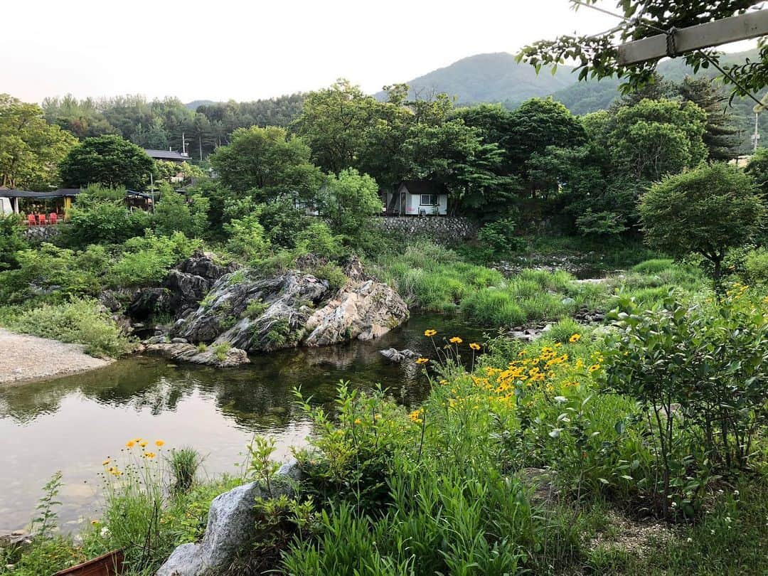 ヨンジュン さんのインスタグラム写真 - (ヨンジュン Instagram)「#200605 🌳🌳」6月5日 18時54分 - windboy511