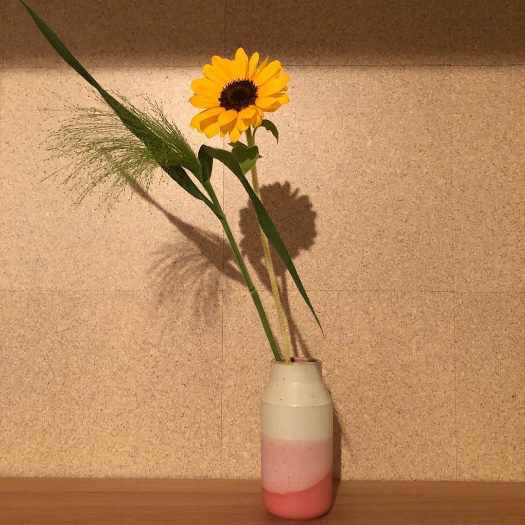 美甘子さんのインスタグラム写真 - (美甘子Instagram)「愛用している器ブランド、SUEKIの花瓶を購入したのでヒマワリ🌻を生けた。ピンクのグラデーションがとても可愛い😍 #suekiceramics  #sueki」6月5日 19時02分 - rekish_mikako