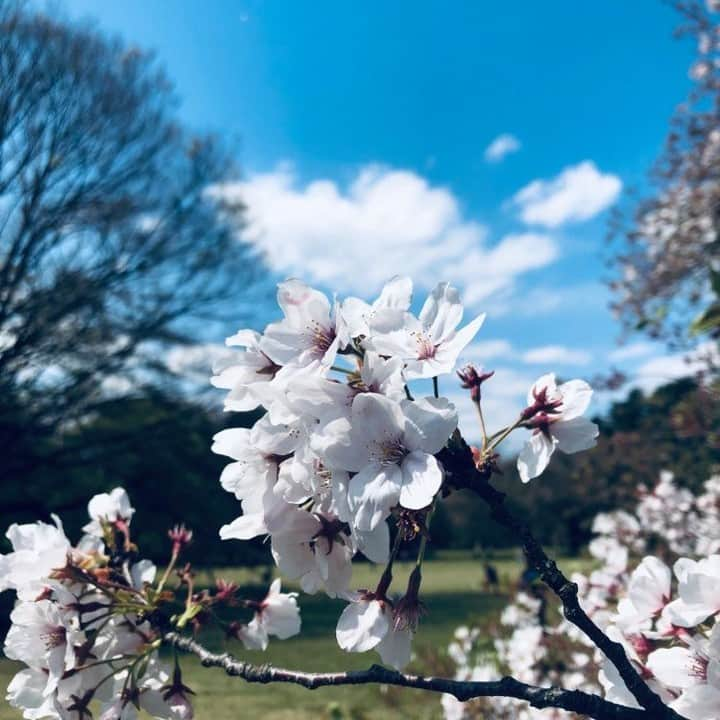 Kawaii.i Welcome to the world of Tokyo's hottest trend♡ Share KAWAII to the world!さんのインスタグラム写真 - (Kawaii.i Welcome to the world of Tokyo's hottest trend♡ Share KAWAII to the world!Instagram)「Our hearts grieve for our kawaii friends around the globe, who suffer hardships and difficulties. Please be positive and stand firm on your feet with your kawaii spirit.」6月5日 19時44分 - kawaiiiofficial