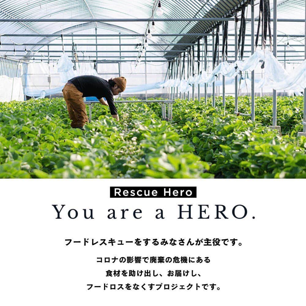 岩崎悠人さんのインスタグラム写真 - (岩崎悠人Instagram)「Rescue Hero  北海道コンサドーレ札幌の荒野拓馬選手の呼びかけで　"何か今の僕らにできることはないか" という理念から立ち上げられた「Rescue Hero」。 今回僕もこのプロジェクトに賛同し、参加させていただくことになりました。  現在、コロナウイルスの影響で多くの生産者さんが苦しんでいます。 生産者さんが一生懸命作った生鮮品が、イベントの中止や飲食店の営業停止により行き場を失った状態にあります。  いつもは沢山の方々にサポートして頂いている立場ですが、今回このような活動を通して困難な状況にある生産者さんをサポートできればと考えています。  皆さんに協力して頂き、少しでも明るい方向へ向かっていけること、助け合いの輪が広がっていくことを願っています。  下記の条件に該当する生産者さんがいらっしゃいましたらお答えください！ ●登録条件 ・食品ロスや商品ロスが懸念されること ・廃棄前提または在庫であること ・生産者または生産者レスキューへ繋がること ・出荷は登録者ができること ・速やかに出荷ができること（概ね3日以内） ・事務局によるサンプル審査をクリアできること ・通常価格より割安であること ・サイト運営に協力的であること（写真や登録情報の提供、速やかな出荷等） ・食品ロスや商品ロスを目的にしている為、極端な営利目的はNG  皆様ご協力よろしくお願いいたします」6月5日 19時37分 - yutoiwasaki611