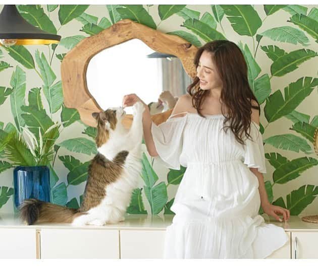 眞木美咲パメラのインスタグラム