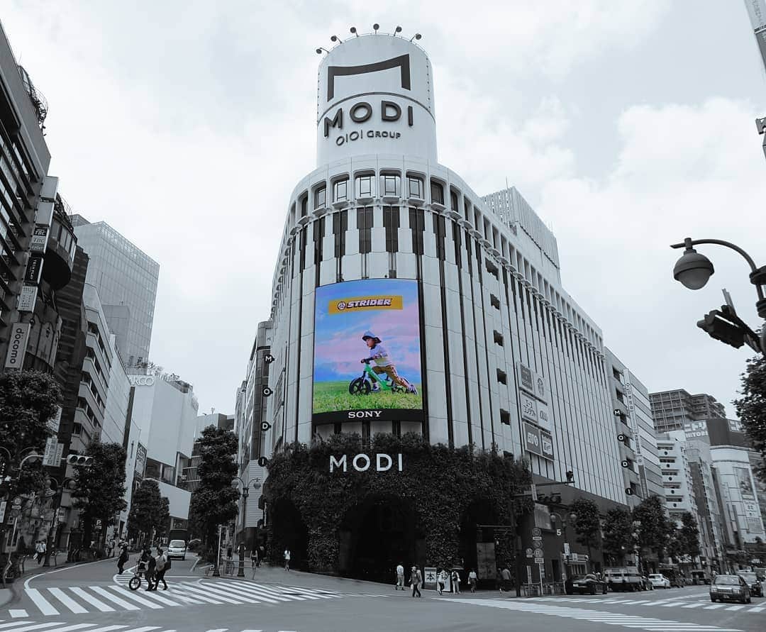 striderjapanさんのインスタグラム写真 - (striderjapanInstagram)「渋谷のど真ん中に﻿ ストライダーキッズ現る！ ﻿ ﻿ #渋谷駅﻿ #街頭ビジョン﻿ #ストライダーキッズ﻿ #ストライダーに乗ろう﻿ #ストライダー﻿ #DreamRider」6月5日 20時04分 - striderjapan