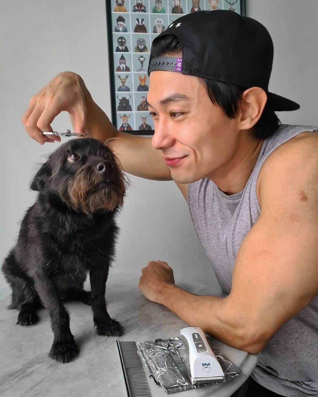 デスモンド・タンのインスタグラム：「Mastering my grooming skill with Udon today. Look at him! He looks keen, excited and confident in me, isn't it?! Hahaha 😜 看乌东的眼神就知道它对我多有信心! 自欺欺人也是一种勇气。😂 Swipe left for Before/After comparison. Rate my work. ⭐⭐⭐⭐⭐? #udontan #陈乌东 #adoptdontshop」