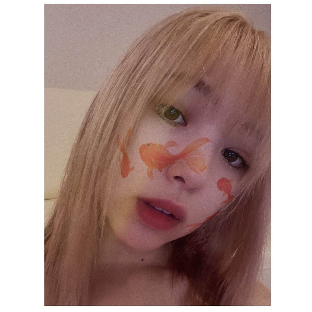 藤田ニコル（にこるん）さんのインスタグラム写真 - (藤田ニコル（にこるん）Instagram)「金髪での生活も慣れてきました。  最近のアプリは顔に 金魚がつけれる🎐  夏だね〜🍉」6月5日 20時54分 - 2525nicole2
