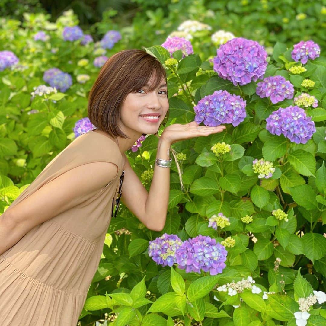 黒宮ニイナのインスタグラム：「気分転換に紫陽花をみに行ってきました💠 人が全然いない穴場を狙って行ったら大正解！！ まだ時期が少し早かったのか満開ではなかったけど色々な種類の紫陽花が綺麗でした💜✨ お花と緑に癒されて久しぶりに深呼吸ができました😊  まだまだ不安な日々は続きそうですが、もう子ども達もマスクが定着してきてちょっと家を出るときでもママ、マスク忘れないでって教えてくれて日常になっています☺️ でも、やっぱりいつもの日常がどれだけ幸せか身に染みます。 まだまだおうち時間も楽しみつつ、少しずつお出かけもしたいなぁ✨  #紫陽花 #あじさい #ママ #2児ママ #2人育児 #男の子ママ #女の子ママ #30代ママ #mama #mamalife #mamacoordinate」