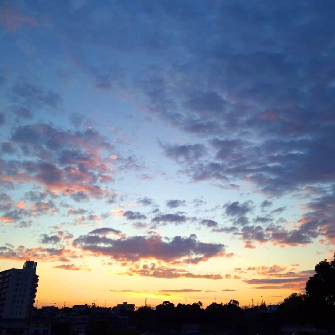 【公式】オーシャンリゾートホテル マホロバ・マインズ三浦のグルメインスタ