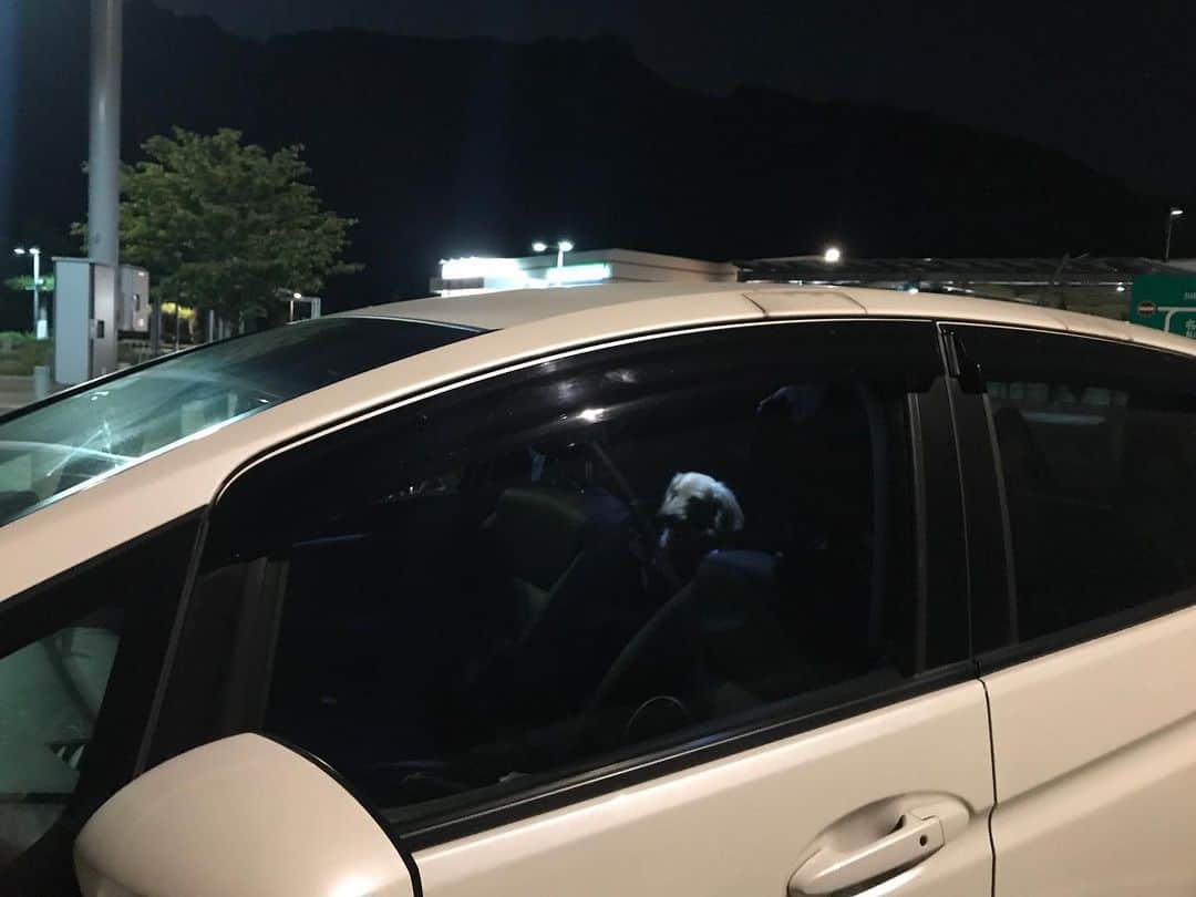 メルロコ一家の楽屋裏さんのインスタグラム写真 - (メルロコ一家の楽屋裏Instagram)「このPAはコンパクトだし茂みが多いし車少ないしコンビニ大きいし使いやすい。#藤枝PA#一応どんも居るはず#闇夜の黒犬#写りません#メルロコ一家の横須賀ストーリー」6月5日 21時23分 - merulocomocodon