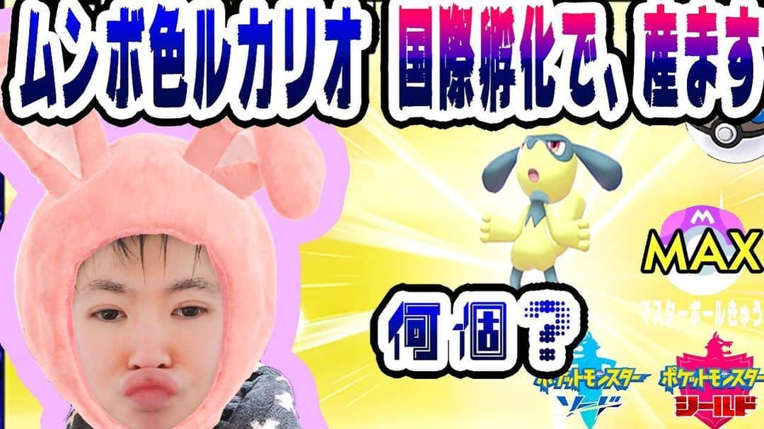 山本怜さんのインスタグラム写真 - (山本怜Instagram)「https://youtu.be/hgHACVs-O-A フォローしてね！！！！ 【Pokémon剣盾】今回は、国際孵化で色違いを作りました！！part.2だいたい600と言われてますが、新統計も出ました！孵化歩数が多い場合は、体感、2倍くらいになります！/マスボ級マスターボール級！！！！！！ガラル【ポケットモンスター】【Pokemon】【ソードシールド】 GOODボタン&フォローよろしくお願いします！！！！！！ #ポケットモンスター #ポケットモンスターソードシールド #ポケットモンスターソード #ポケットモンスターシールド #ポケモンソード #ポケモンシールド #剣盾 #ソードシールド #ユーチューブ #SYTV #SATOSHIYAMAMOTOTV #ゲーム #ゲーム実況 #esports #ポケモン実況 #ニンテンドーSWITCH #マスターボール級 #YOUTUBE #厳選 #国際孵化 #孵化 #最高ランク #キョダイマックス #game #ルカリオ #キョダイ #色ちがい #POKEMON #マスターボール級 #いいねした人で気になった人フォロー」6月5日 21時24分 - 00satoshiyamamoto00