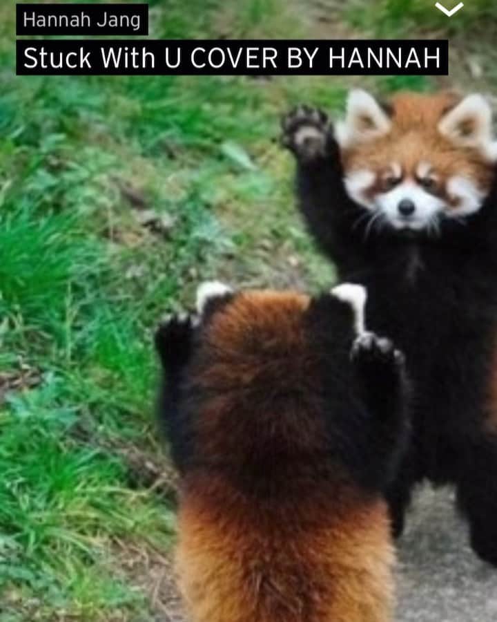 Hannahのインスタグラム：「❤️Stuck with u COVER BY HANNAH #stuckwithu #arianagrande #justinbieber」