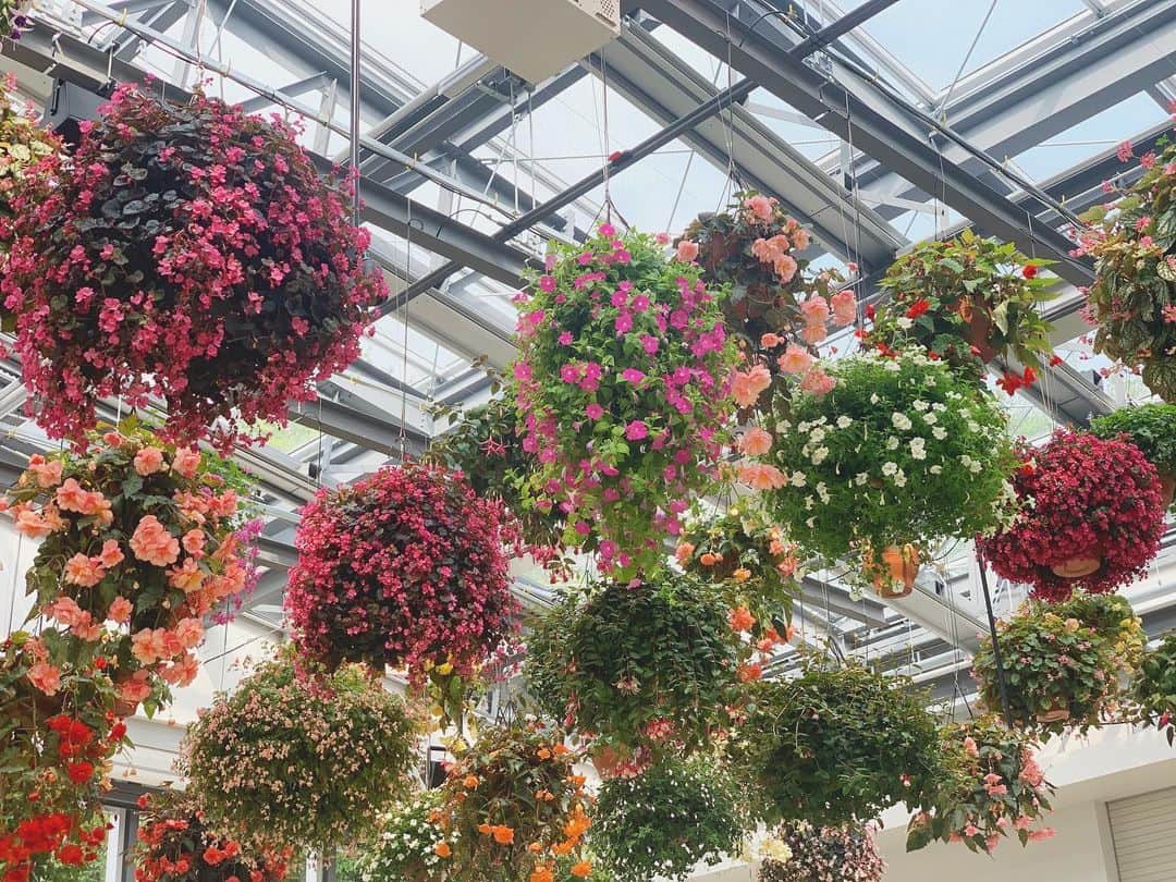 安藤咲良のグルメインスタ