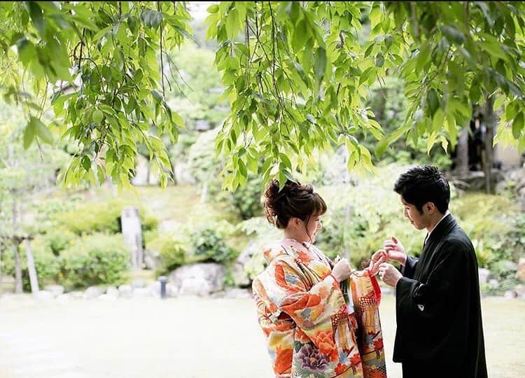 桜鶴苑のグルメインスタ